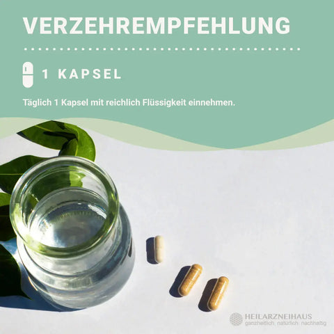L-Carnitin Kapseln: zum Abnehmen HM Heilarzneihaus Medica