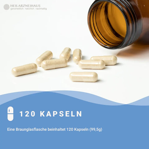 Magnesium 6-Fach Komplex hochdosiert Kapseln HM Heilarzneihaus Medica