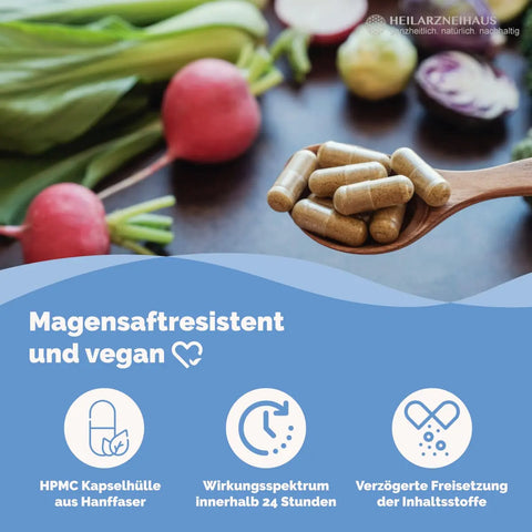 Magnesium 6-Fach Komplex hochdosiert Kapseln HM Heilarzneihaus Medica