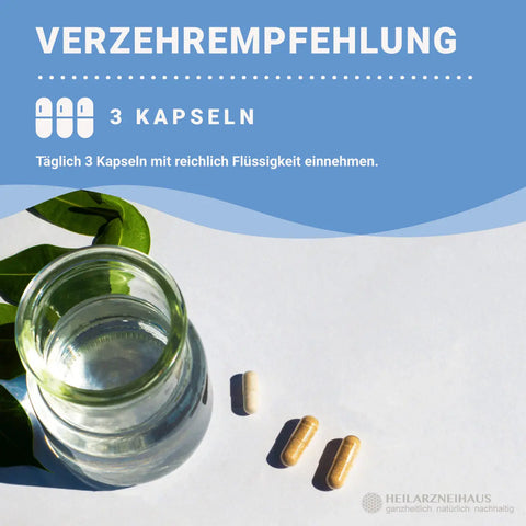 Magnesium 6-Fach Komplex hochdosiert Kapseln HM Heilarzneihaus Medica