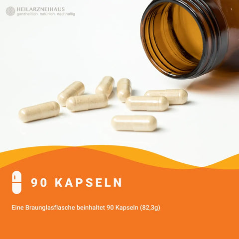Multivitamin + Multimineral Kapseln HM Heilarzneihaus Medica
