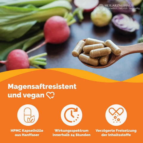 Multivitamin + Multimineral Kapseln HM Heilarzneihaus Medica