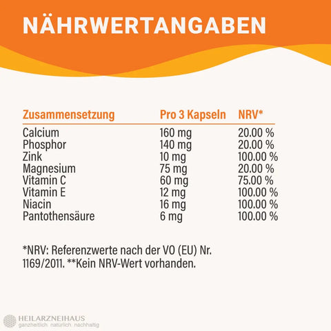 Multivitamin + Multimineral Kapseln HM Heilarzneihaus Medica