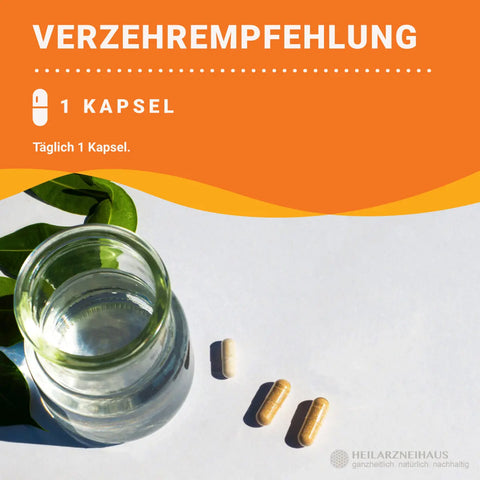 Multivitamin + Multimineral Kapseln HM Heilarzneihaus Medica