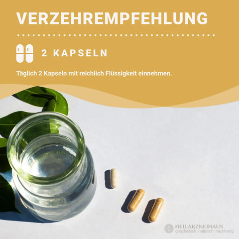 Nattokinase + L-Arginin + OPC Traubenkernextrakt Kapseln HM Heilarzneihaus Medica
