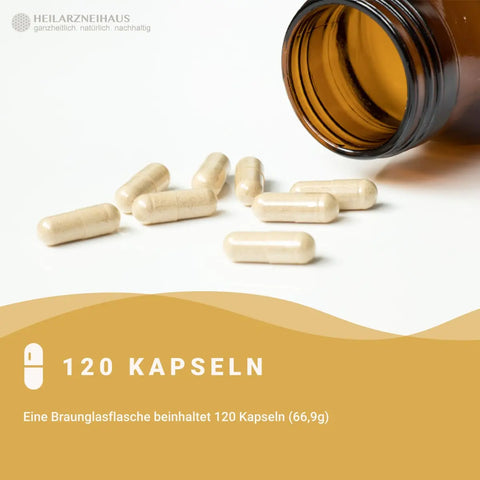 Nattokinase + L-Arginin + OPC Traubenkernextrakt Kapseln HM Heilarzneihaus Medica