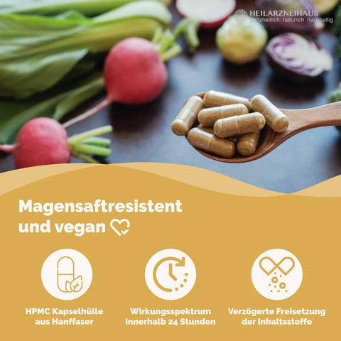 Nattokinase + L-Arginin + OPC Traubenkernextrakt Kapseln HM Heilarzneihaus Medica