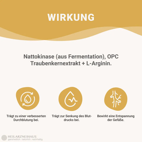 Nattokinase + L-Arginin + OPC Traubenkernextrakt Kapseln HM Heilarzneihaus Medica