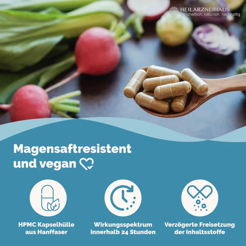 MSM Kapseln OptiMSM® + Vitamin C Kapseln HM Heilarzneihaus Medica