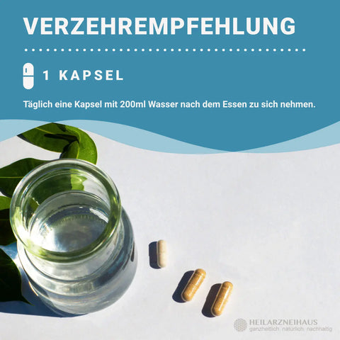 MSM Kapseln OptiMSM® + Vitamin C Kapseln HM Heilarzneihaus Medica