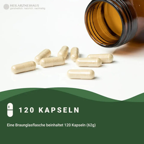 Mindesthaltbarkeit : September 2025 Jod 250 Kapseln: Schwangerschaft & Stillzeit HM Heilarzneihaus Medica