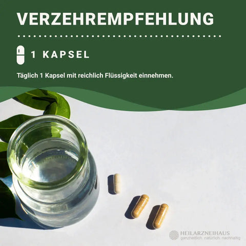Mindesthaltbarkeit : September 2025 Jod 250 Kapseln: Schwangerschaft & Stillzeit HM Heilarzneihaus Medica