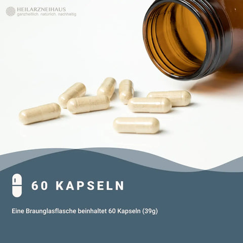 Pregnenolon + Maca + GABA Kapseln : Für Mann & Frau HM Heilarzneihaus Medica
