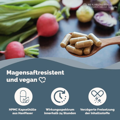 Pregnenolon + Maca + GABA Kapseln : Für Mann & Frau HM Heilarzneihaus Medica
