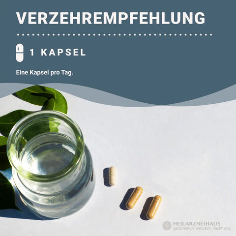 Pregnenolon + Maca + GABA Kapseln : Für Mann & Frau HM Heilarzneihaus Medica