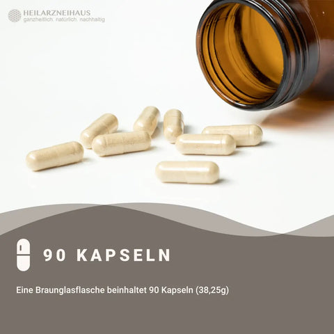 Q10 Coenzym Ubiquinol Kapseln HM Heilarzneihaus Medica