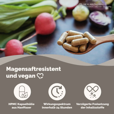 Q10 Coenzym Ubiquinol Kapseln HM Heilarzneihaus Medica