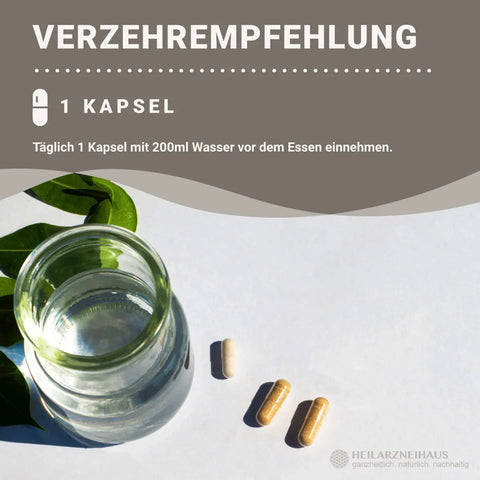Q10 Coenzym Ubiquinol Kapseln HM Heilarzneihaus Medica