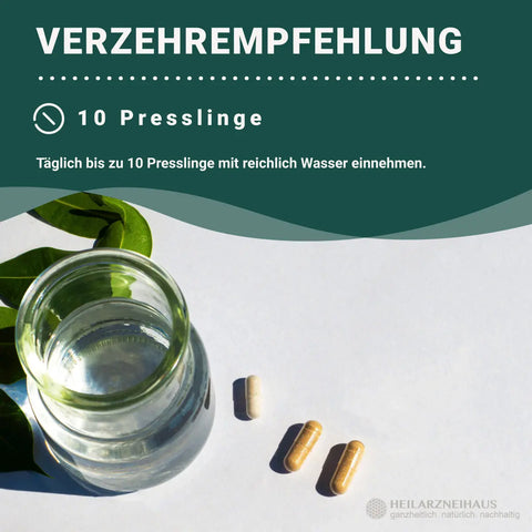 Spirulina Presslinge HM Heilarzneihaus Medica
