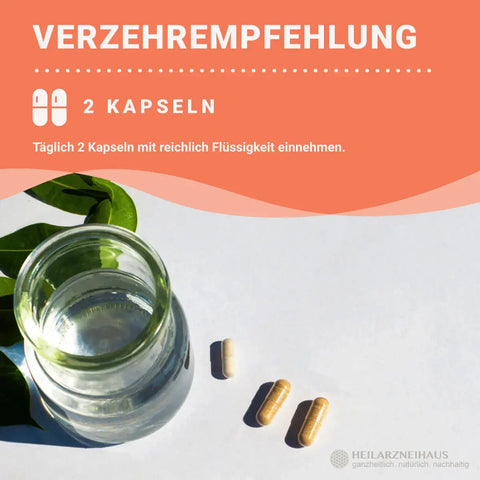 Vitamin C hochdosiert 750mg Kapseln HM Heilarzneihaus Medica