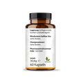 Curcumin + vitamin c kapseln: camu camu + kurkuma HM Heilarzneihaus Medica