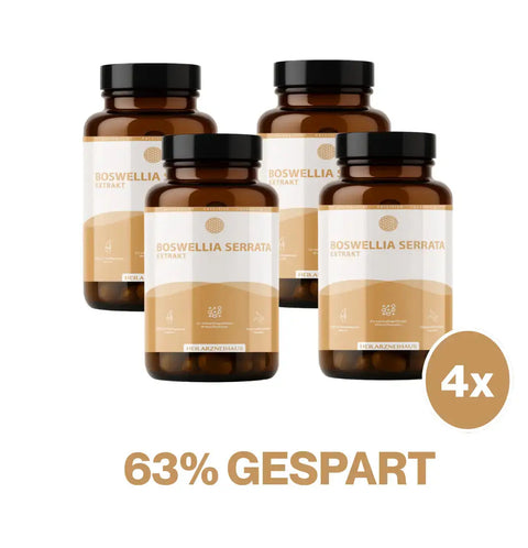 Boswellia Serrata capsules d’encens : collection sauvage