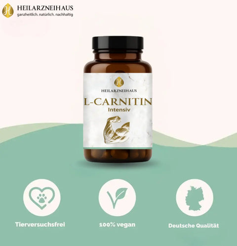 L-Carnitin Kapseln HM Heilarzneihaus Medica