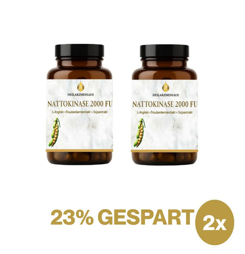 Nattokinase 2000 FU Kapseln