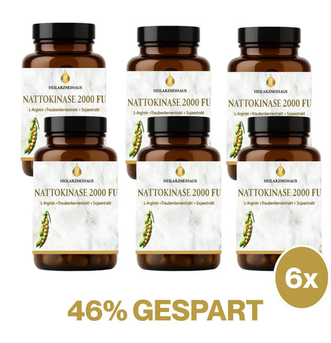 Nattokinase 2000 FU + OPC + L-Arginin Kapseln
