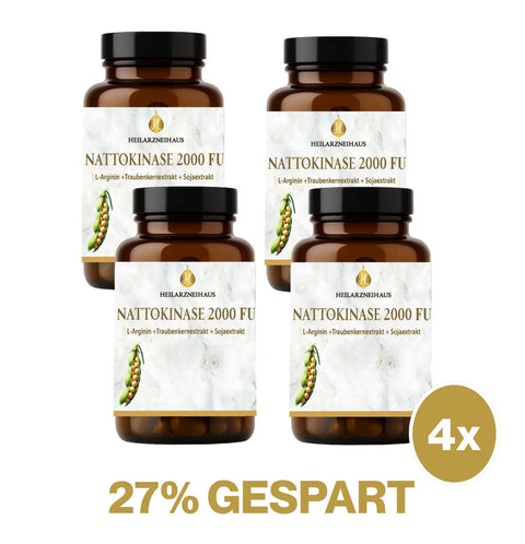 Nattokinase 2000 FU Kapseln