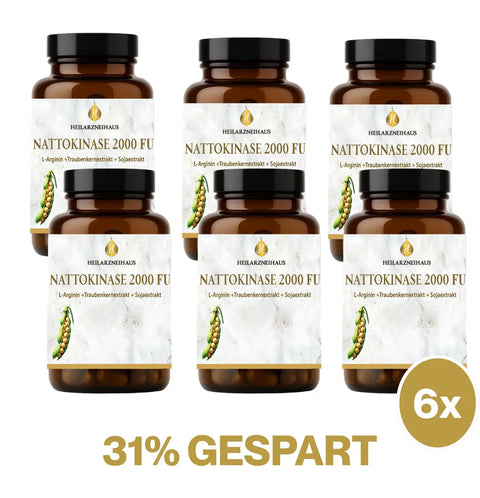 Nattokinase 2000 FU Kapseln