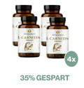 L-Carnitin Kapseln HM Heilarzneihaus Medica