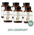 L-Carnitin Kapseln HM Heilarzneihaus Medica