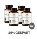 Zink Picolinat + Vitamin C Kapseln HM Heilarzneihaus Medica