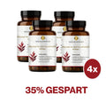Astaxanthin AstaZine® Rotalge 8mg Kapseln HM Heilarzneihaus Medica