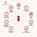 Astaxanthin AstaZine® Rotalge 4mg Kapseln HM Heilarzneihaus Medica