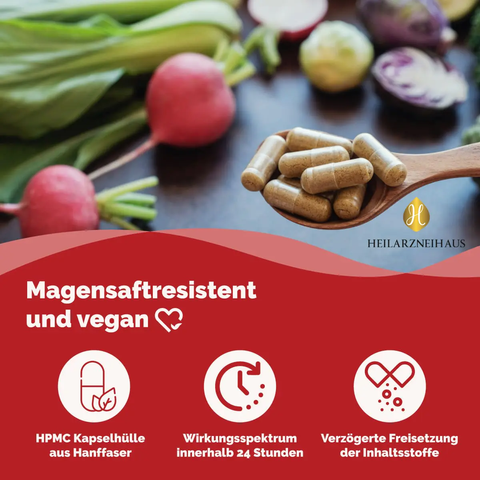 Astaxanthin AstaZine® Rotalge 8mg Kapseln HM Heilarzneihaus Medica
