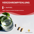 Astaxanthin AstaZine® Rotalge 8mg Kapseln HM Heilarzneihaus Medica
