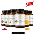 Abnehm-Fett-Burner Paket HM Heilarzneihaus Medica