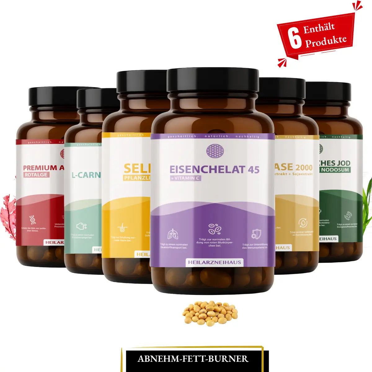Abnehm-Fett-Burner Paket HM Heilarzneihaus Medica