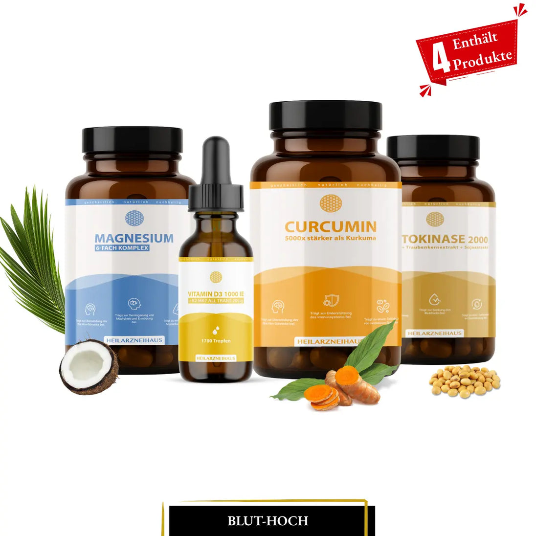 Blut-Hoch Paket HM Heilarzneihaus Medica