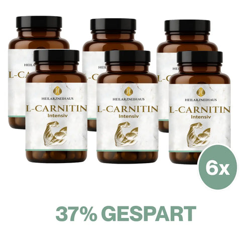 L-Carnitin Kapseln HM Heilarzneihaus Medica