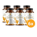 Curcumin + vitamin c kapseln: camu camu + kurkuma HM Heilarzneihaus Medica