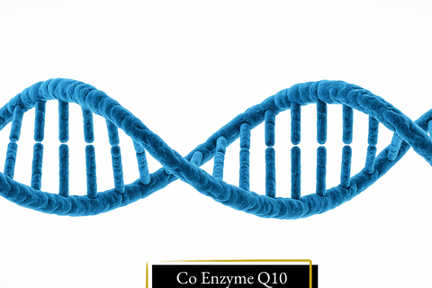 Co-Enzymes