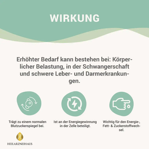 l carnitin wirkung abnehmen L-Carnitin zum Abnehmen: Das bringt es dir wirklich L-Carnitin Kapseln vegan in Apothekenqualitt
