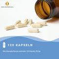 Magnesium 6-Fach Komplex hochdosiert Kapseln HM Heilarzneihaus Medica