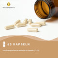 Probiotische Darmbakterien Kapseln HM Heilarzneihaus Medica
