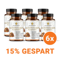 Multivitamin + Multimineral Kapseln HM Heilarzneihaus Medica