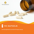 Multivitamin + Multimineral Kapseln HM Heilarzneihaus Medica