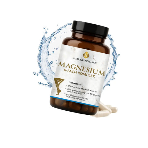 Magnesium 6-Fach Komplex hochdosiert Kapseln HM Heilarzneihaus Medica